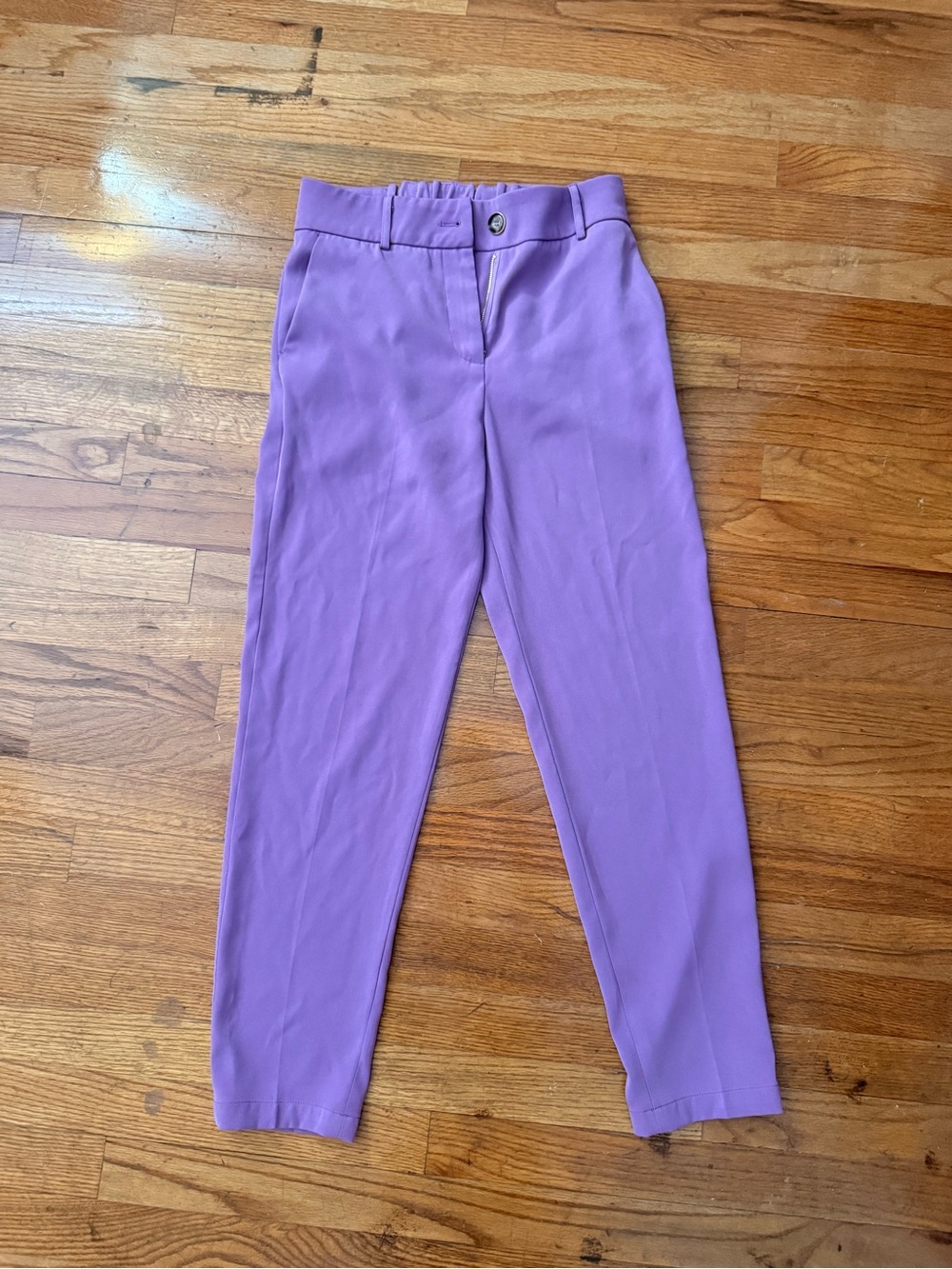 Purple Straight Leg Dress Pants